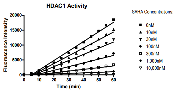 HDAC1動力學檢測試劑盒