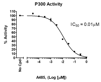 P300化學發(fā)光檢測試劑盒