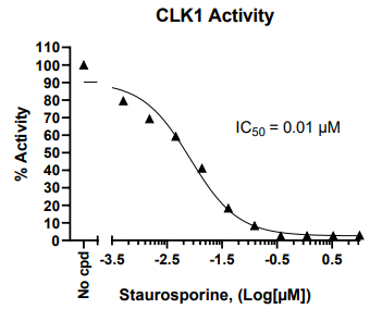 Chemi-Verse CLK1激酶檢測(cè)試劑盒