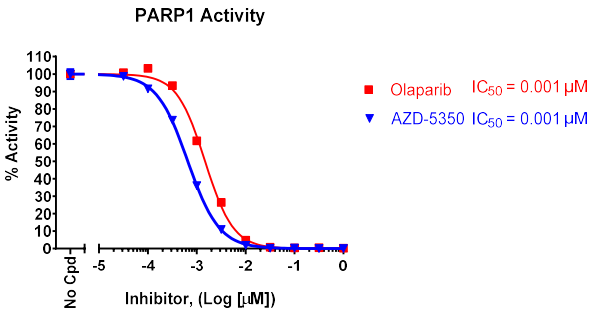 PARP1化學(xué)發(fā)光檢測試劑盒（384孔）