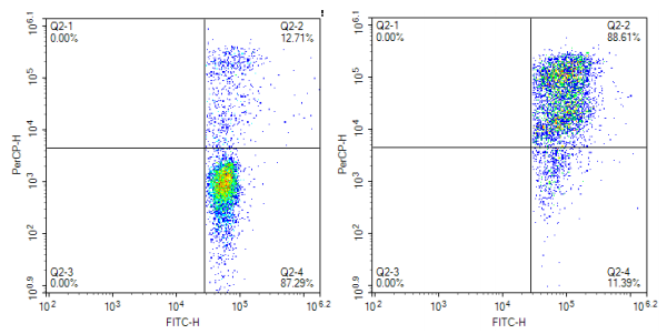細(xì)胞毒性染料試劑盒（CFSE，7-ADD）
