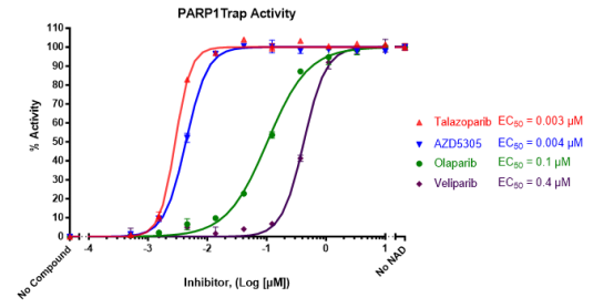 PARPtrap -PARP1和PARP2聯(lián)合檢測試劑盒