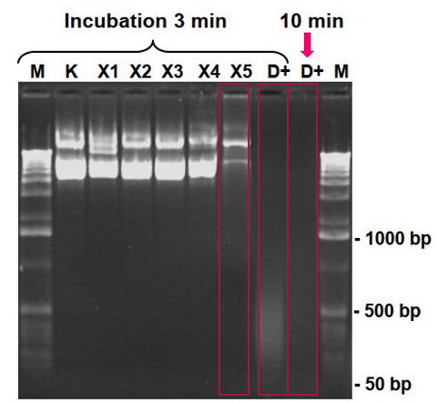 Nature Methods-1.png