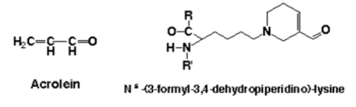 抗丙烯醛（ACR）單克隆抗體（5F6）