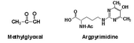 抗7-酮膽固醇（7-KC）單克隆抗體