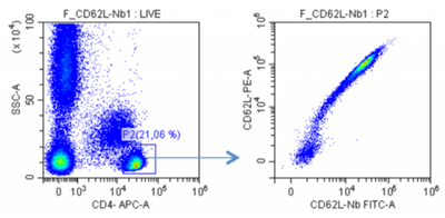 FluoTag-X2抗CD62L AbberiorStar635PP
