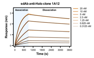 抗Halo標(biāo)簽蛋白單域抗體