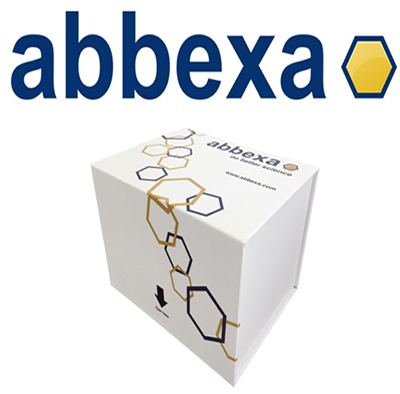 Abbexa