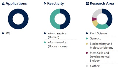 堿性磷酸酶偶聯(lián)IgG組分單克隆小鼠抗地高辛