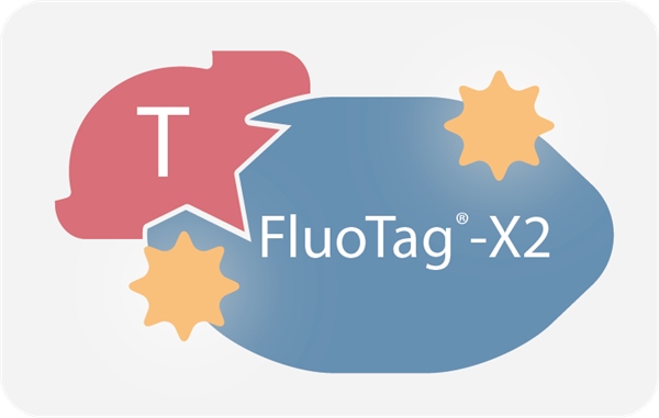 FluoTags-X2.png