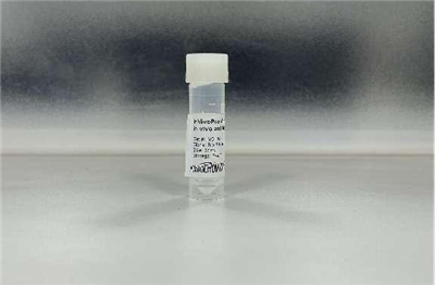 抗小鼠PD-1(CD279)體內抗體