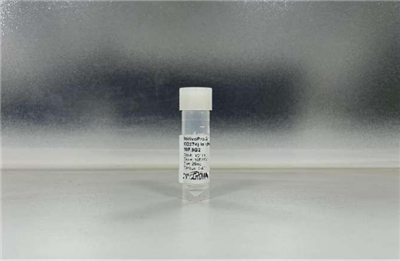 抗小鼠PDL1(B7H1, CD274)體內(nèi)抗體, 克隆號10F.9G2