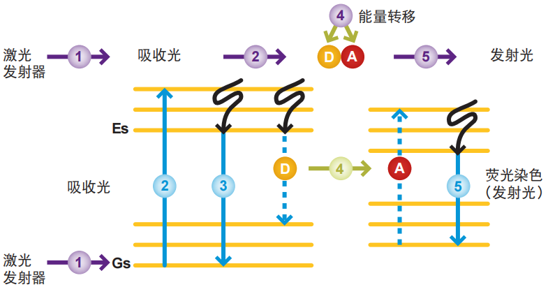 Single dye energy.png