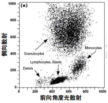 Forward angle light scattering.png