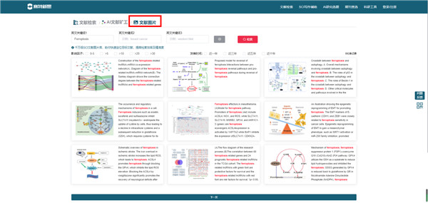 通過(guò)關(guān)鍵詞搜索得到鐵死亡機(jī)制圖