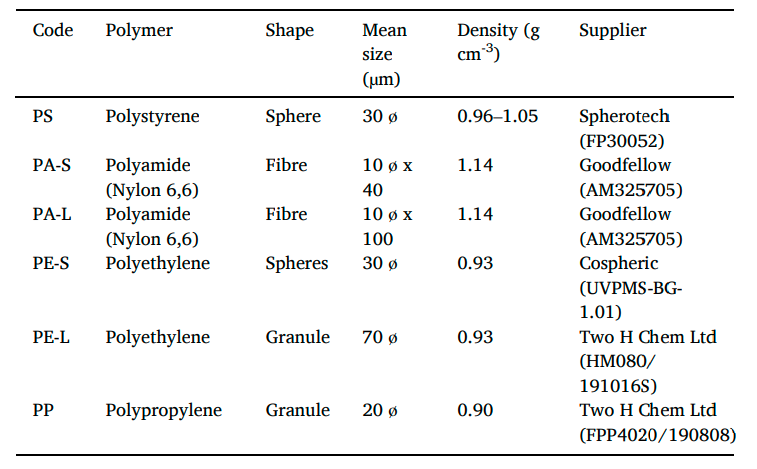 Mytilus edulis-1.png