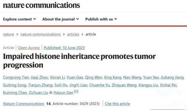 Histone inheritance.jpg