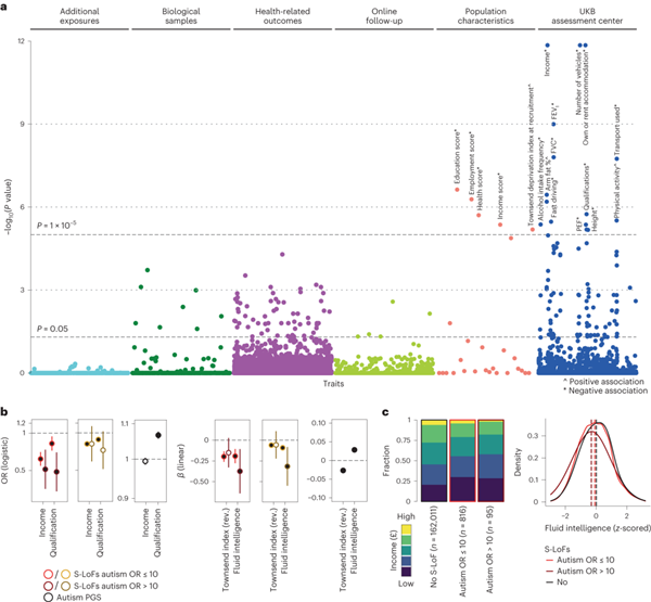 遺傳變異對英國生物銀行大腦解剖學(xué)和參與問卷調(diào)查的影響