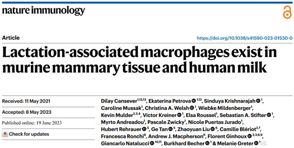 哺乳期出現(xiàn)的特定巨噬細(xì)胞群的起源和對細(xì)胞因子的依賴性
