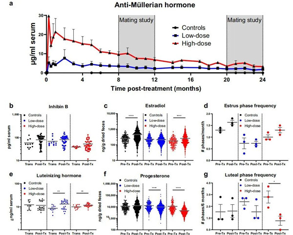 家貓注射AAV9-fcMISv2后的生殖激素