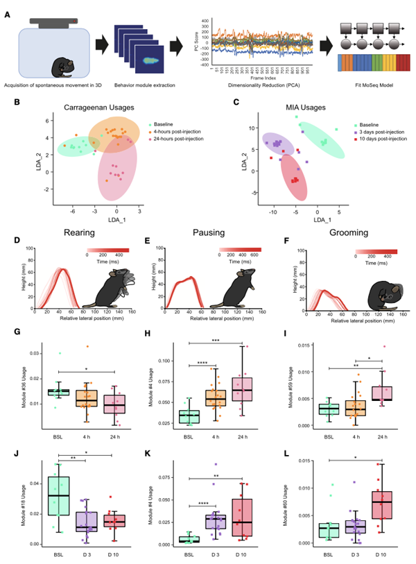 3D姿勢(shì)分析檢測(cè)出自發(fā)痛的行為特征