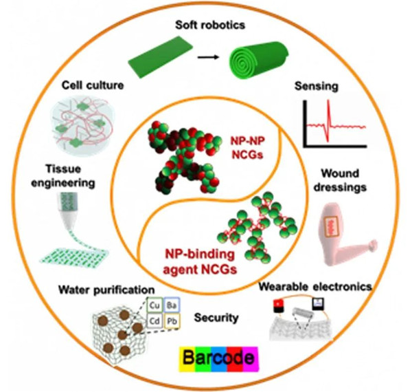 NCG的分類和代表性應(yīng)用
