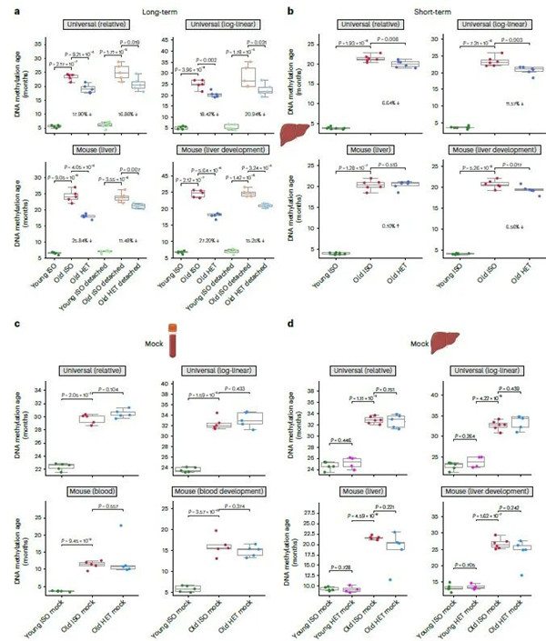 基于血液和肝臟的表觀遺傳時鐘都顯示