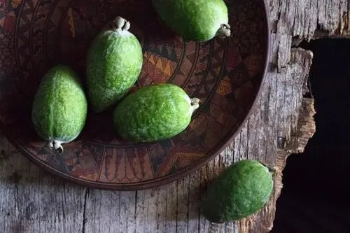 feijoa.jpg