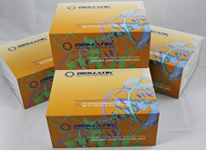 Cell-Based ELISA檢測試劑盒