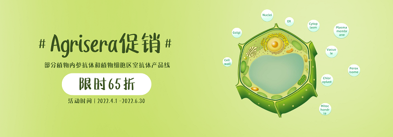 Agrisera部分植物內(nèi)參抗體和植物細胞區(qū)室抗體促銷活動