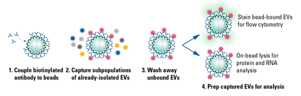 Exo-flow 實驗流程