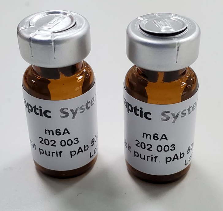 m6A抗體產(chǎn)品圖