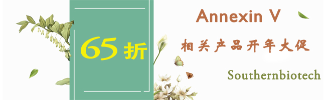 annexin.jpg