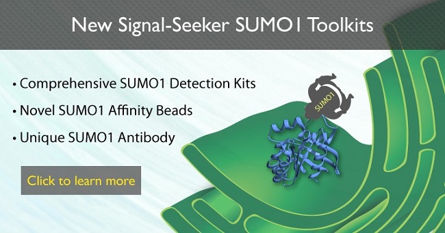 Cytoskeleton超值促銷