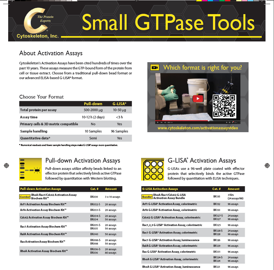小G蛋白家族成員:GAPs、GEFs、小G蛋白