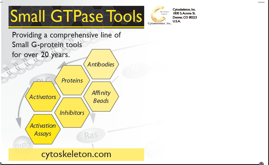 小G蛋白家族成員:GAPs、GEFs、小G蛋白