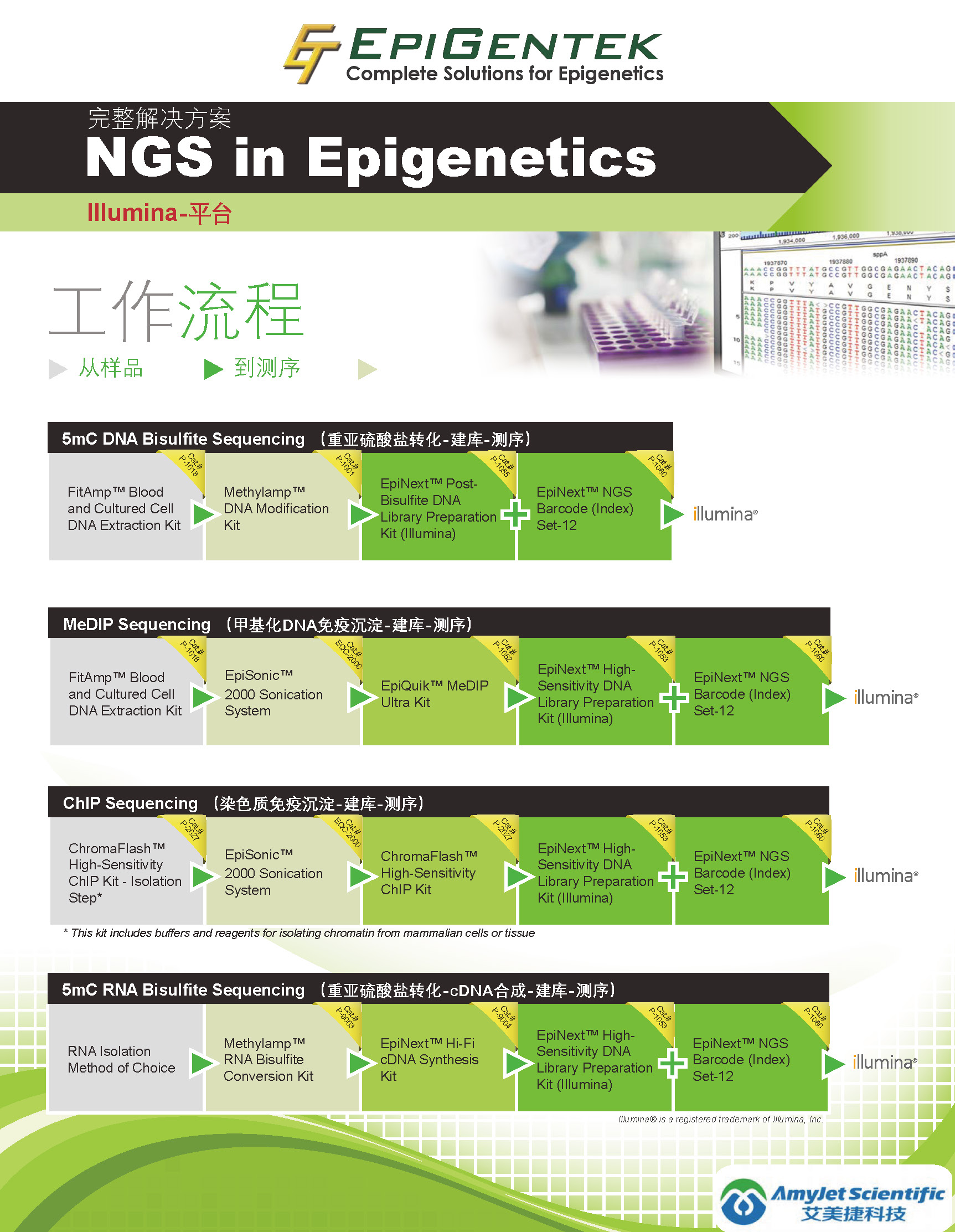 NGS 完整解決方案 在Epigentek_頁面_1.jpg