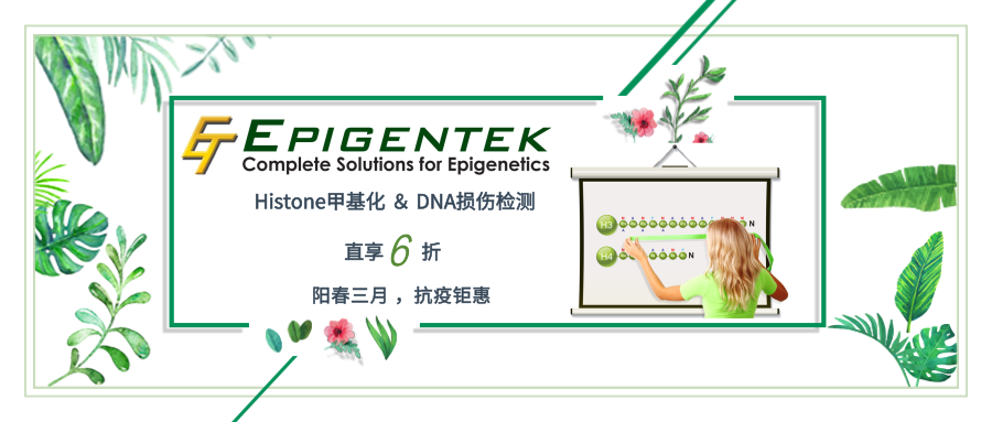 Epigentek組蛋白促銷