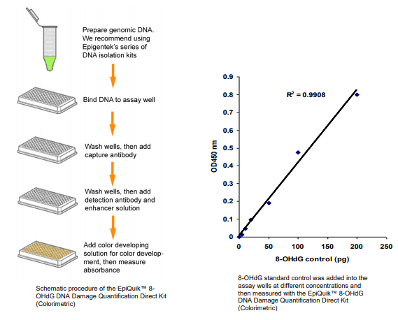 P-6003:8-OHdG DNA 損傷定量直接試劑盒.png