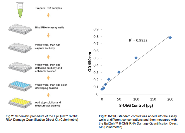 P-6008:8-OhG RNA 損傷定量直接試劑盒（比色法）.png