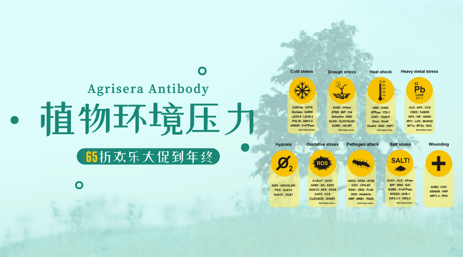Agrisera助力植物環(huán)境壓力研究.gif