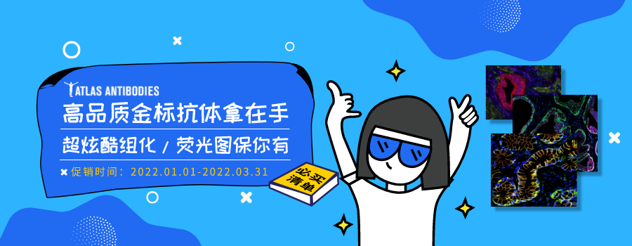 Atlas antibodies高品質(zhì)抗體新年鉅惠