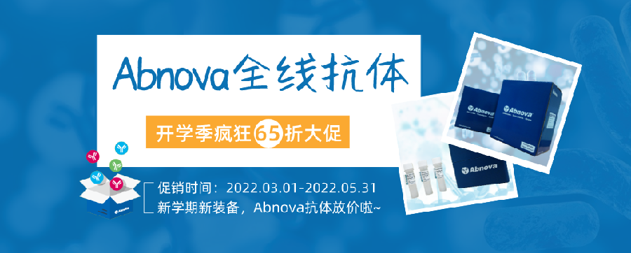 Abnova全線抗體，開學(xué)季瘋狂大促