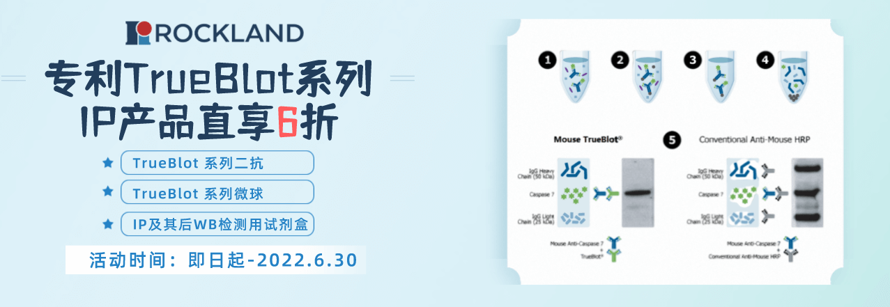 Rockland-各類IP用的二抗、微球、試劑盒促銷活動(dòng)