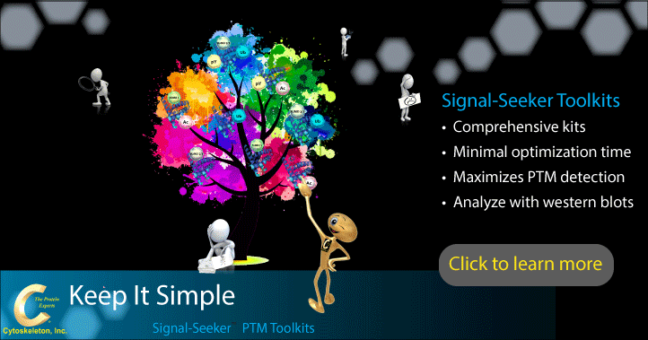 Cytoskeleton官網(wǎng)