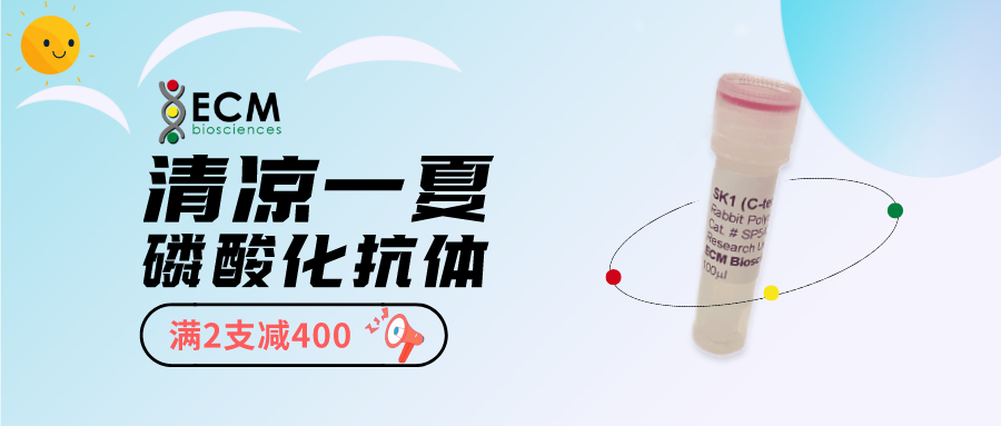 ECM Biosciences磷酸化抗體促銷