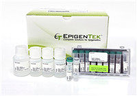 EpiNext CUT&RUN 快速超敏ChIP試劑盒