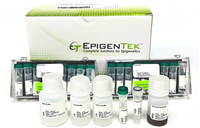 EpiNext cTIP (CUT&Tag原位) ChIP文庫構(gòu)建測(cè)序試劑盒