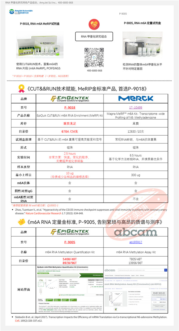 RNA m6A甲基化研究