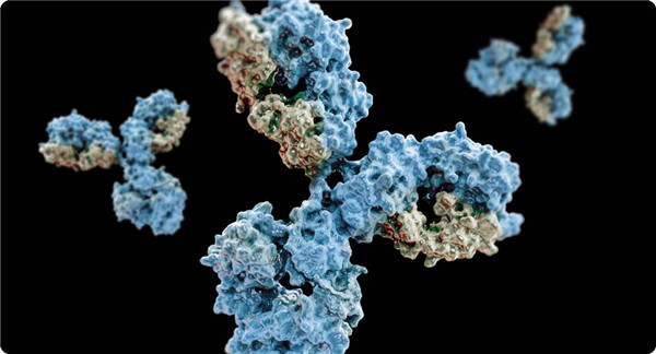 DyLight熒光標記二抗